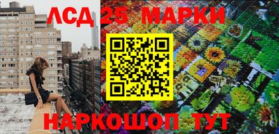 индика Гусиноозёрск