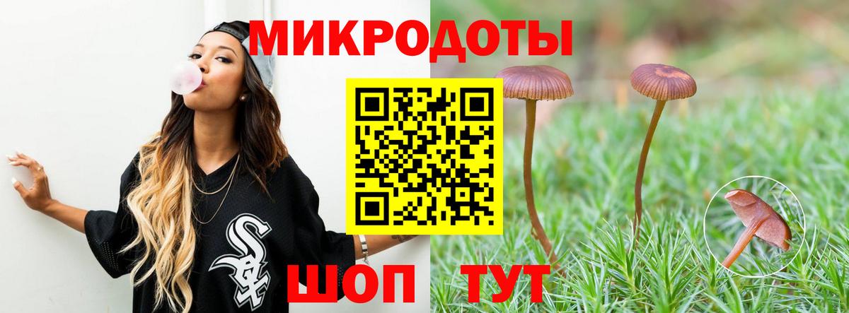 сколько стоит  Псилоцибиновые грибы Psilocybe  Галлюциногенные грибы мухоморы  Вход с VPN  Сальск 